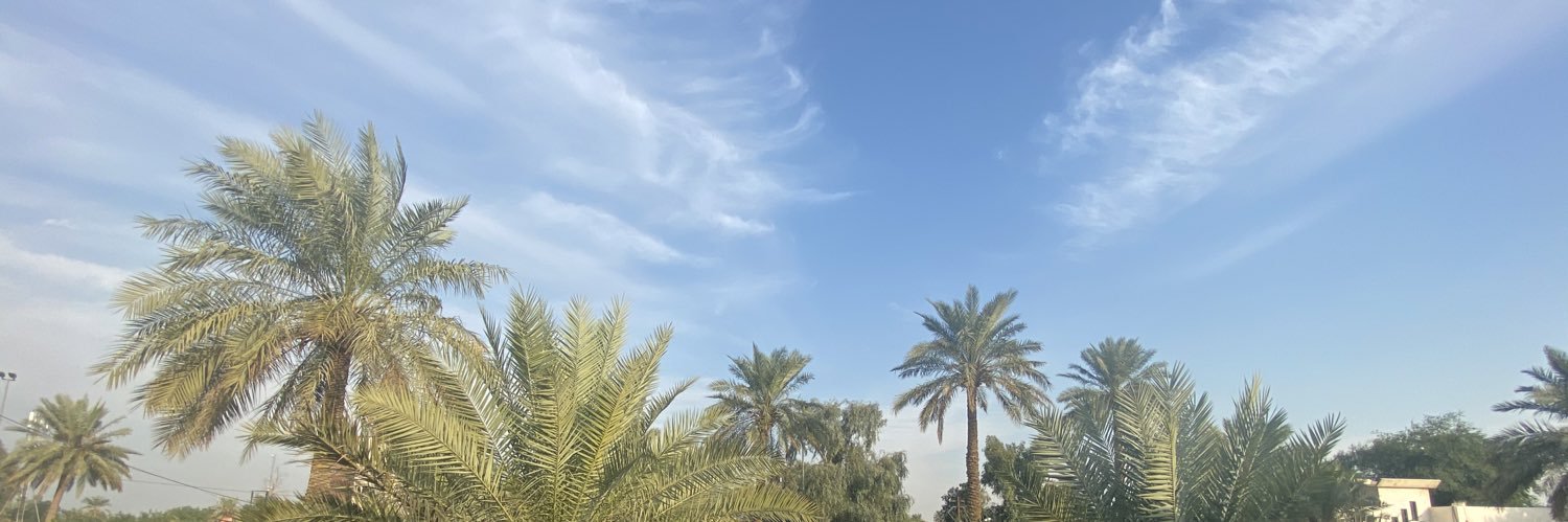 Netherlands Embassy In Iraq 🇳🇱🇮🇶 banner