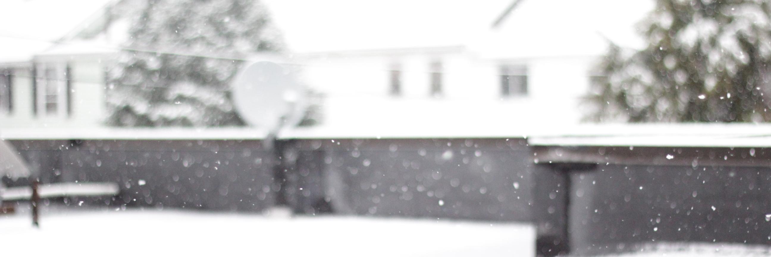 giustefani's profile banner image