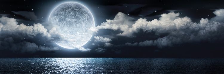 SomedayThe's profile banner image