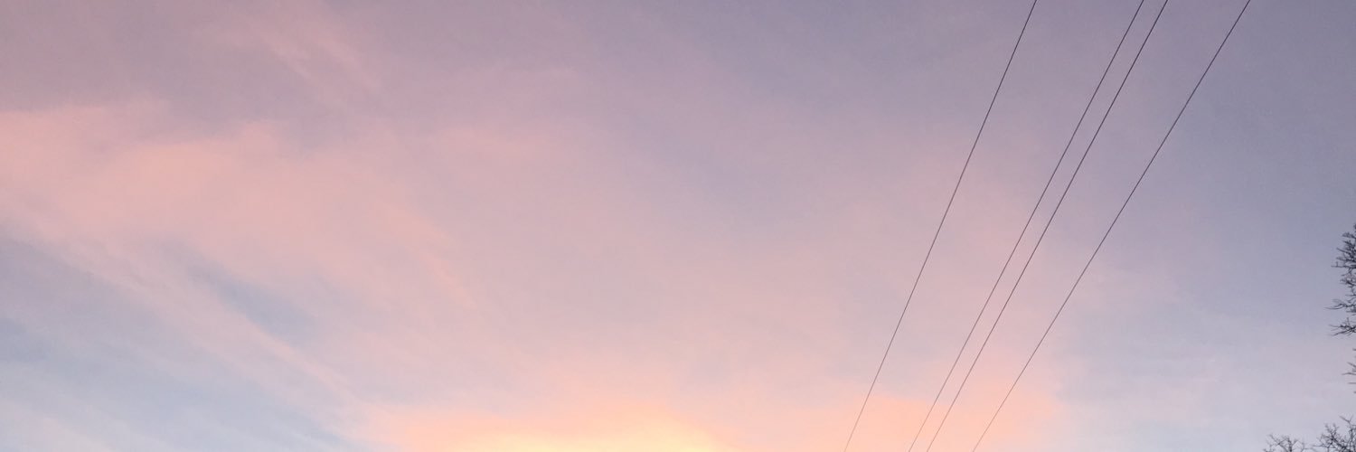 brooklynnhort's profile banner image