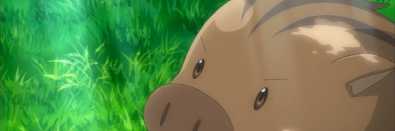 Envybaer's profile banner image