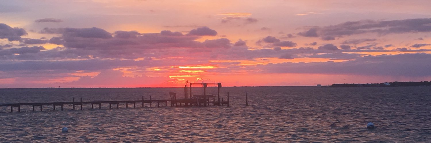 Rachelle Johnson banner