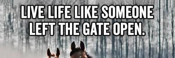 tylaPetersen's profile banner image