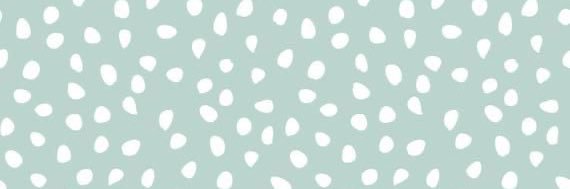 Anita 🪿 banner