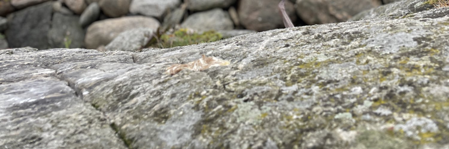 Mr. Carl @ The Graph banner