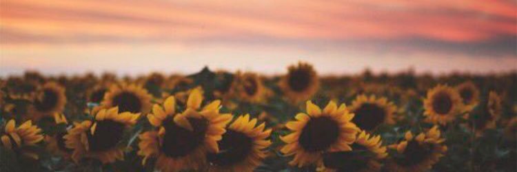 AshleyFussell's profile banner image