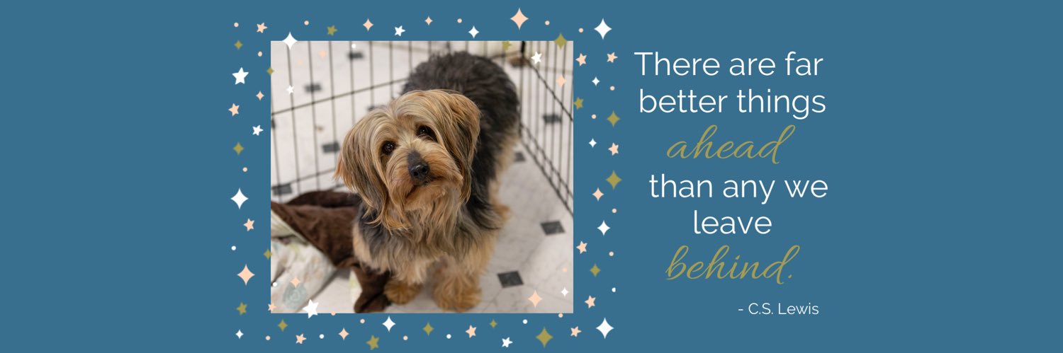 Mill Dog Rescue banner