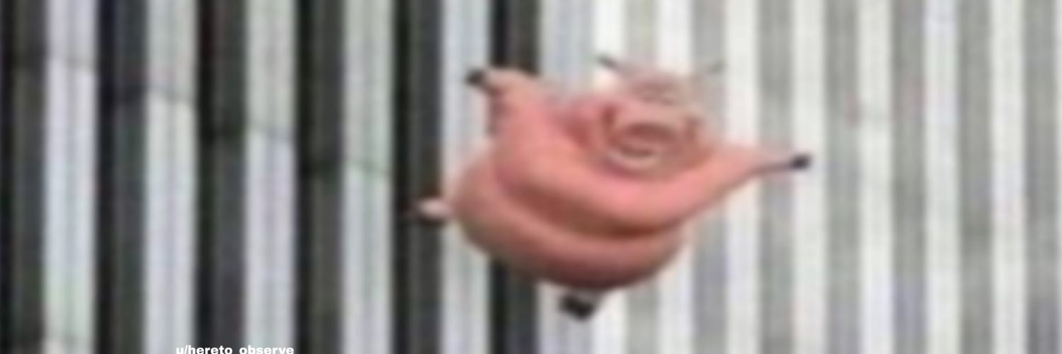 King_Conga_'s profile banner image