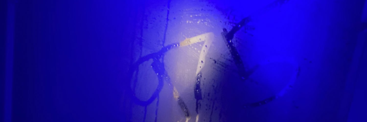 Northstreetfl's profile banner image