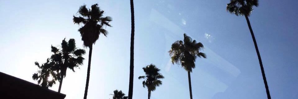 atoaii's profile banner image