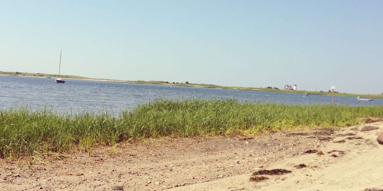 RachelNash_'s profile banner image