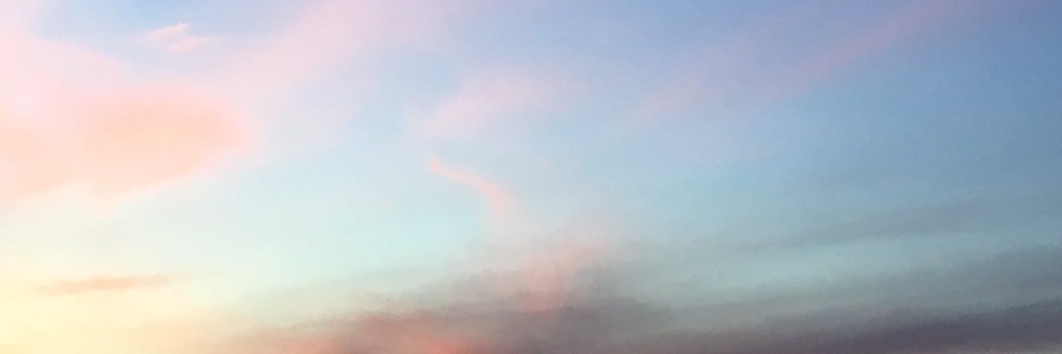 alpha_fox98's profile banner image