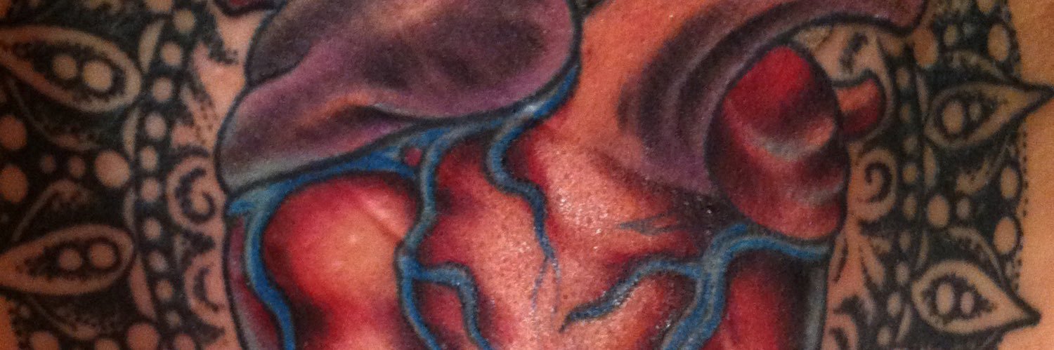 cassohwary's profile banner image