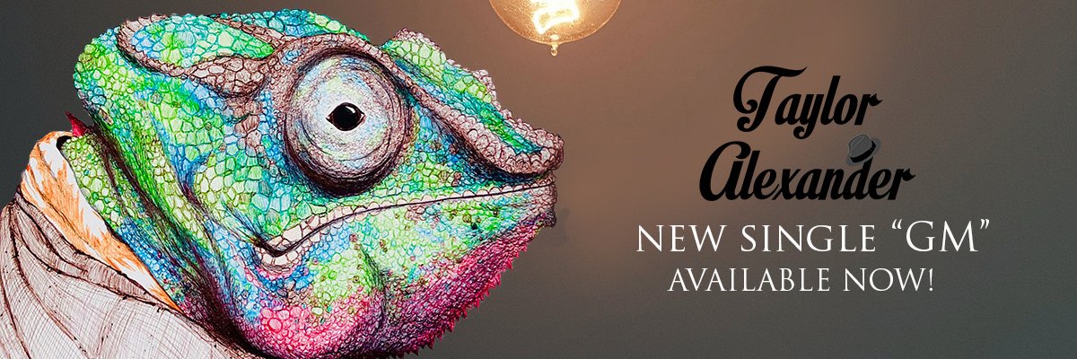 humanimalsart's profile banner image