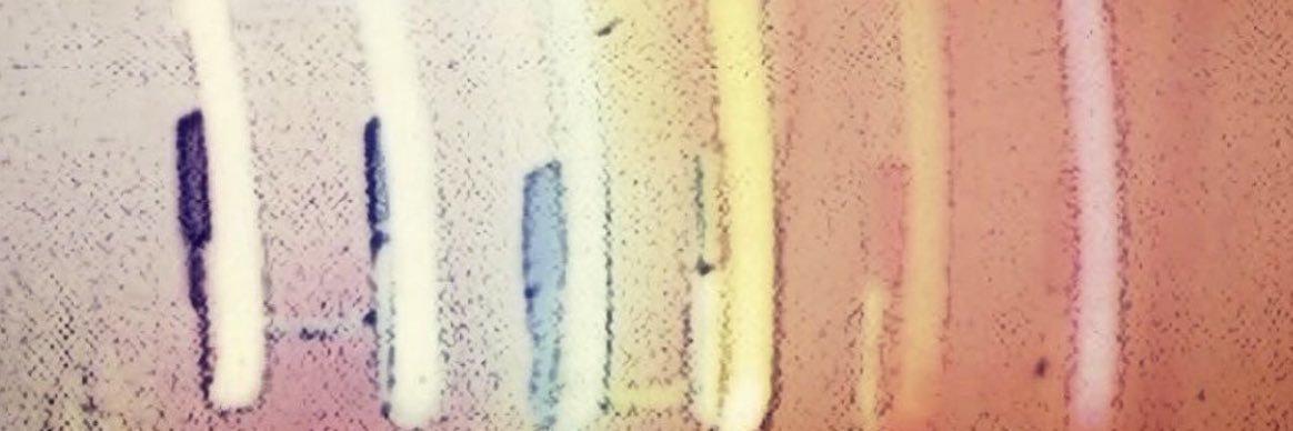kappimoron's profile banner image