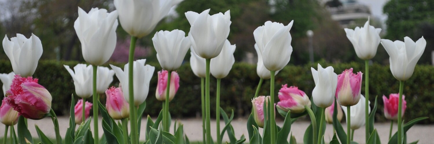 VickyBlackyR's profile banner image