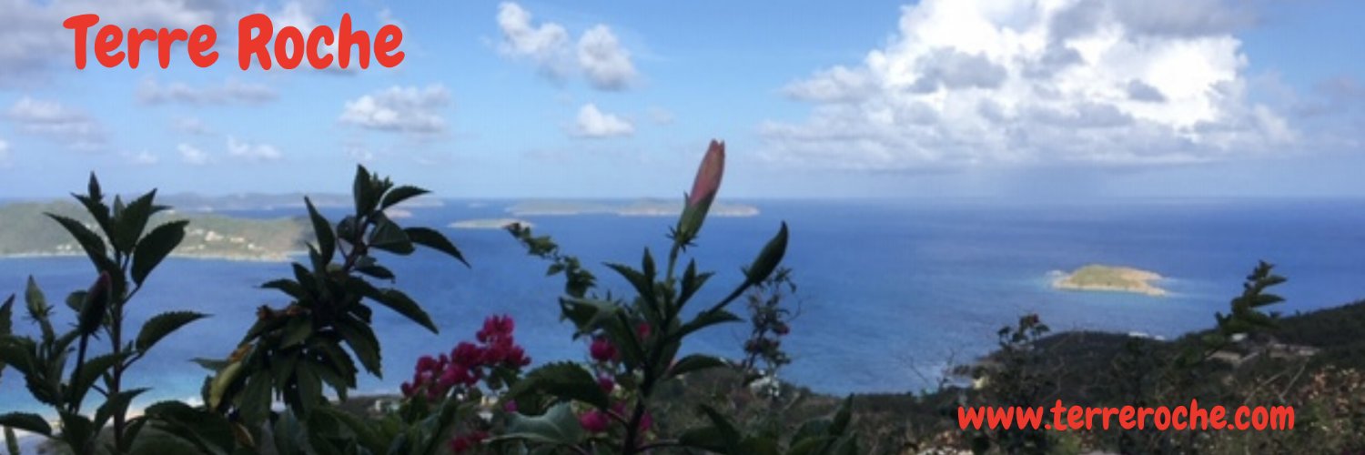 Terreroche's profile banner image