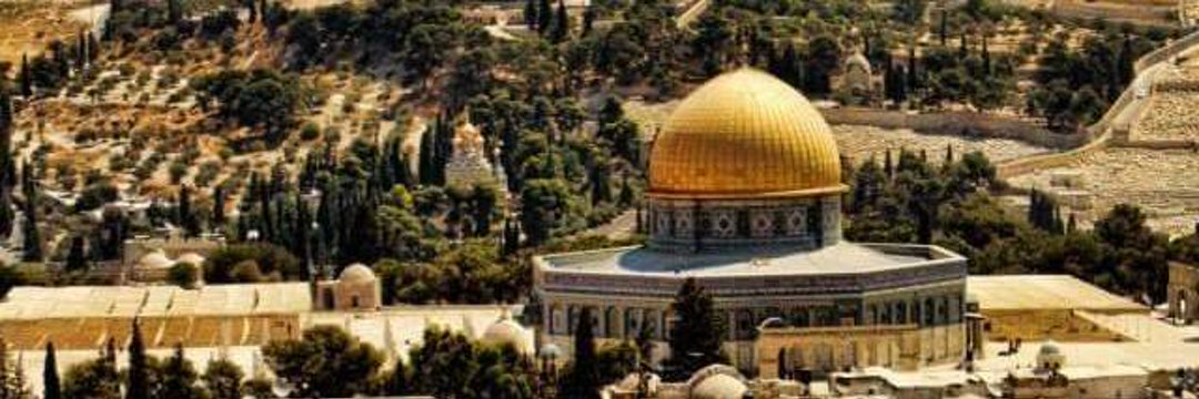 موصطفااا 🇵🇸 banner