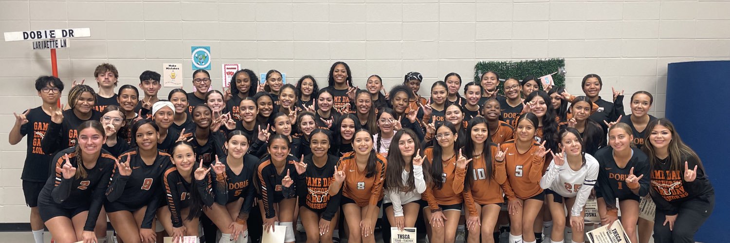 DobieVolleyball banner