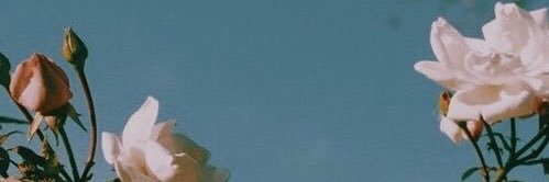 itsmybad's profile banner image