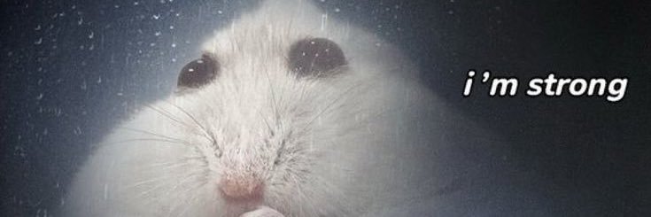 Basiooo_'s profile banner image