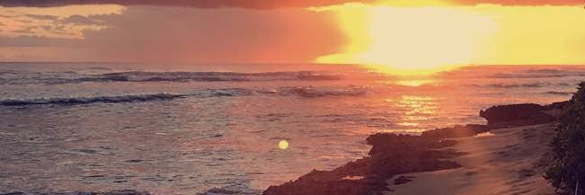 Kayla1Andrews's profile banner image