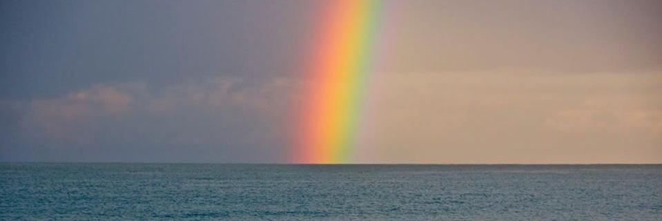 PattySoly's profile banner image