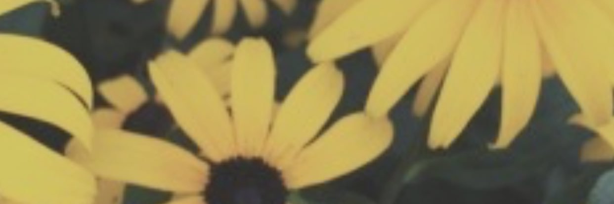 pub_lizity's profile banner image