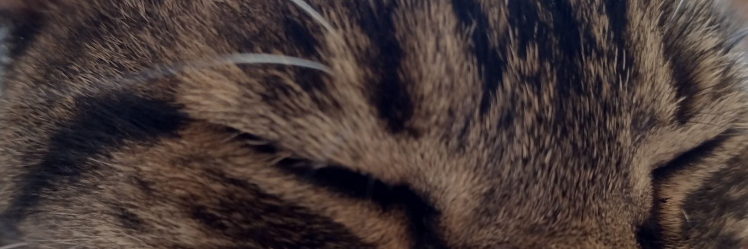 fnasoares's profile banner image