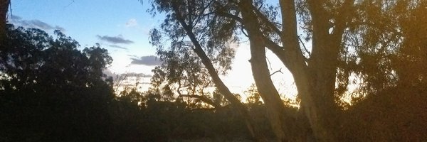 _m_mitchell Profile Banner