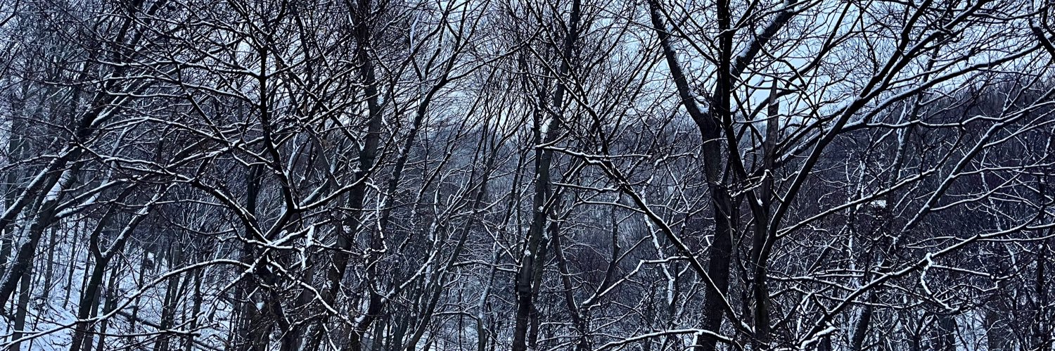 KevinAbels's profile banner image