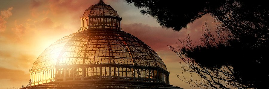 Arthur Gold Photo banner