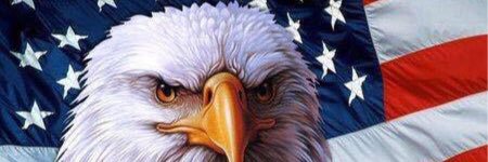 van_luna's profile banner image