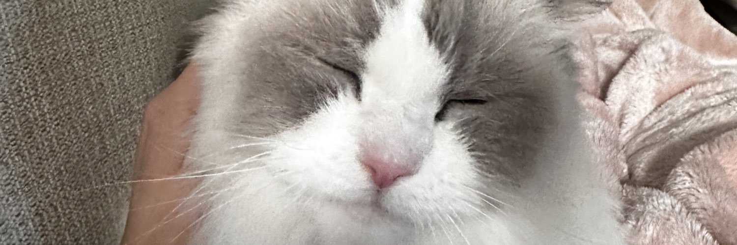 perlaaiscool's profile banner image