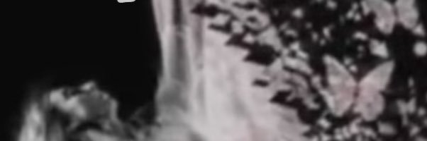 6uba_6ub2's profile banner image