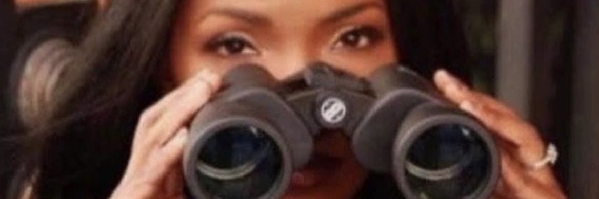 Sly Fox Brianne Joseph banner