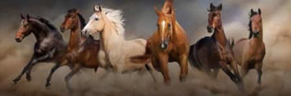 badran_hh's profile banner image