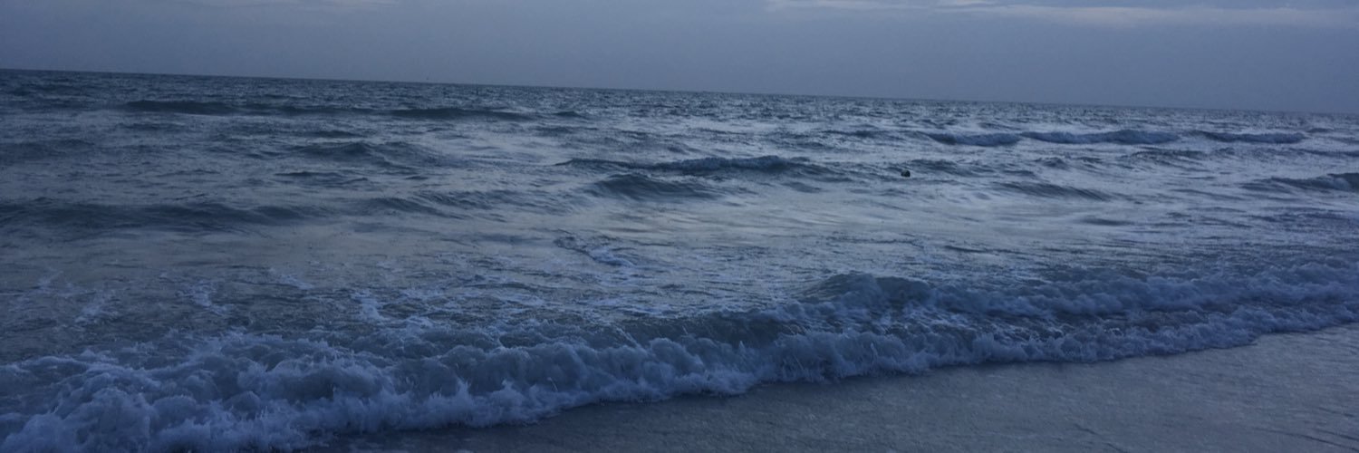 ErickaBagi's profile banner image