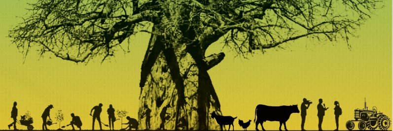 ISAAA_AfriCenter's banner