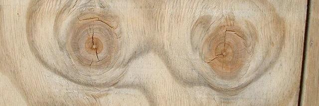 jo church 😷 banner