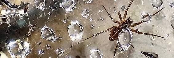 Zijperspace's profile banner image