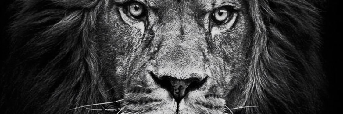 Jayci banner