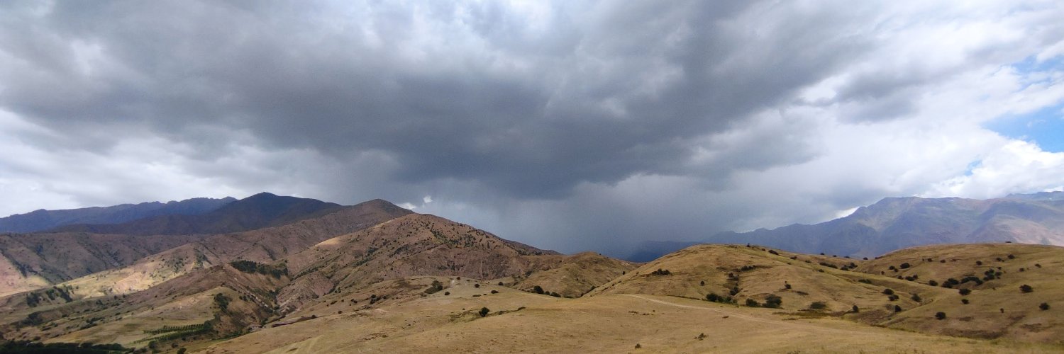 Małgorzata Kot banner