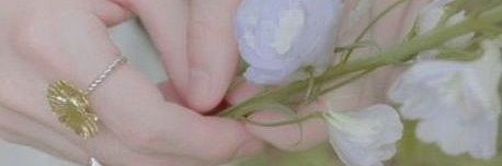 Amfz97's profile banner image