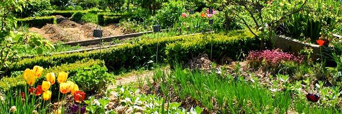MonJardinEnP's profile banner image
