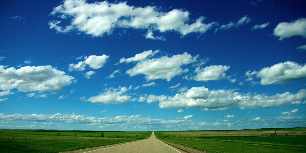 Vince LaMonica banner