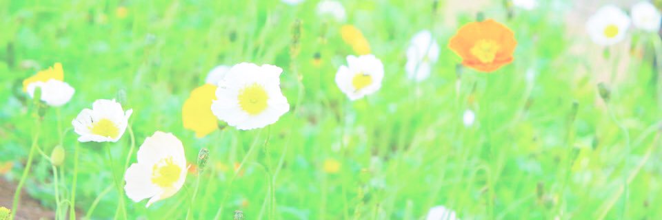 YeiXru's profile banner image