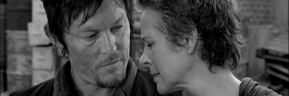 France🐾🌻🌎🌈 banner