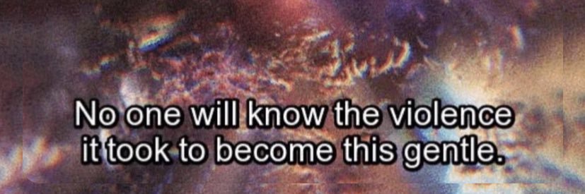 Фрутонян. banner