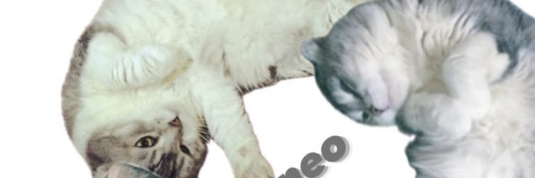 nuntyasu's profile banner image